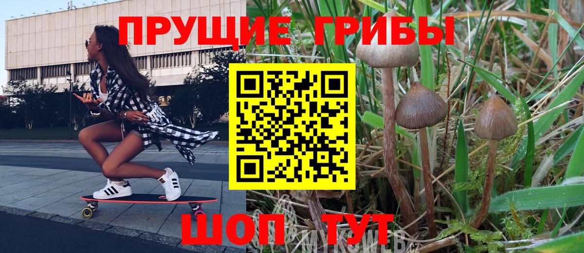 Псилоцибиновые грибы MAGIC MUSHROOMS  Вход с VPN  Балахна 