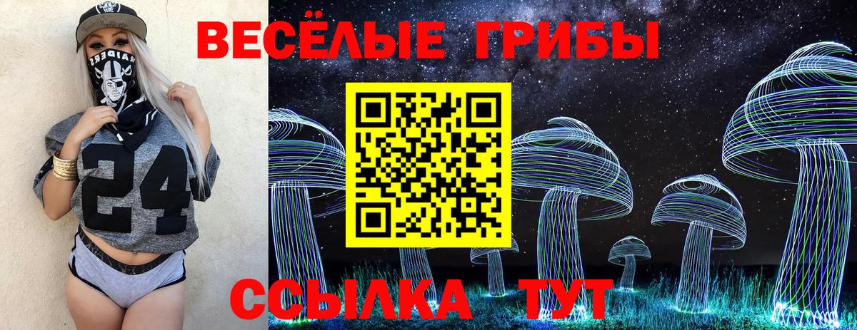 Псилоцибиновые грибы Cubensis Балахна
