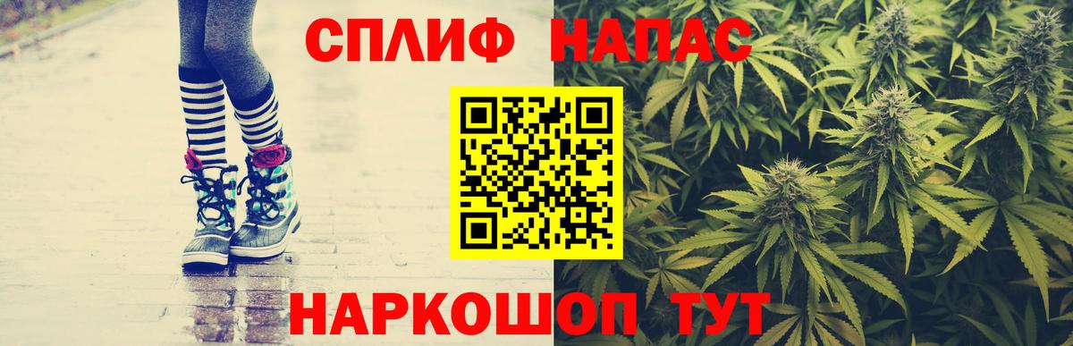 Конопля план Балахна